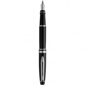 Stylo Waterman Expert plume gravé