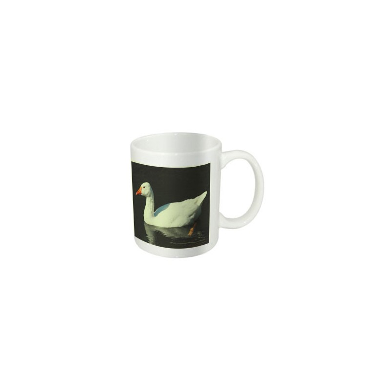 Mug Photo Fluorescent