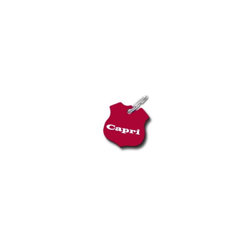 Médaillon Badge Pour Chat