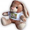 Peluche Lapin Carotte