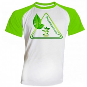 T-shirt Blanc Manche Vert pour Homme