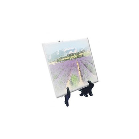 Petit Carrelage Photo Carré avec pied