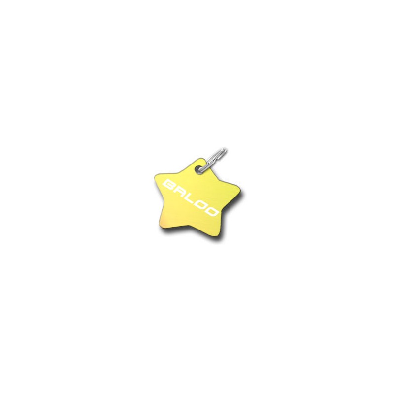 Médaillon Etoile Pour Chien
