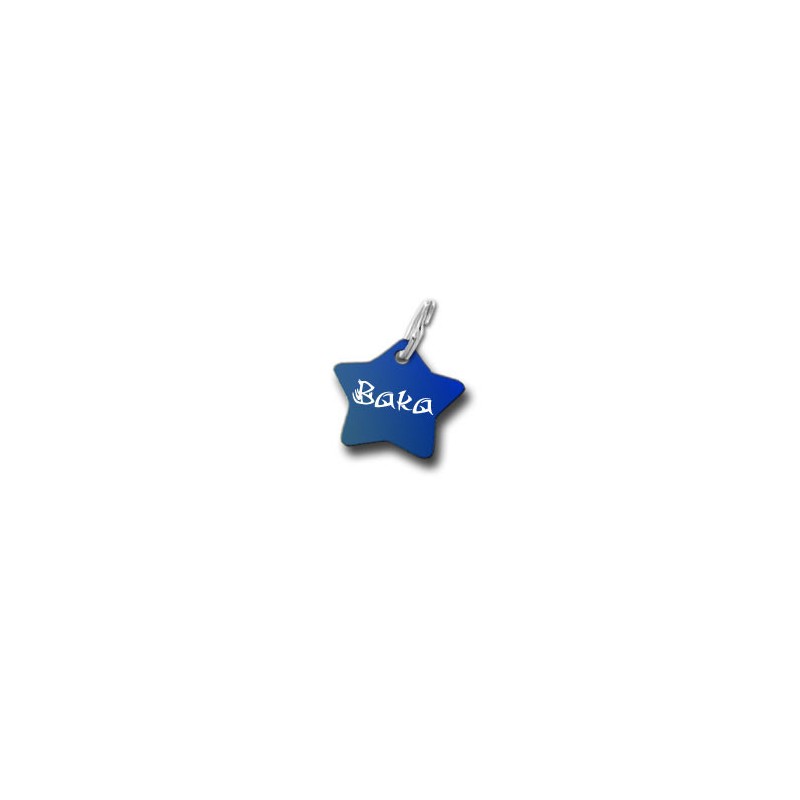 Petit Médaillon Etoile Pour Chien